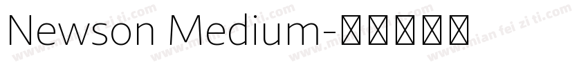 Newson Medium字体转换